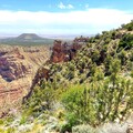 (13)Grand Canyon