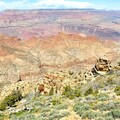 (13)Grand Canyon