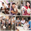 動物Home Party！嘉市寵物登記及狂犬病疫苗注射活動
