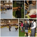 KCT南區聯合會國際畜犬展覽比賽 在嘉舉行 