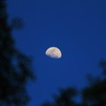 月亮2-台南市中山公園-2012-5-1