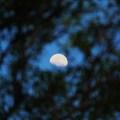 月亮1-台南市中山公園-2012-5-1