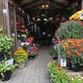 Granville Island的花卉市場
