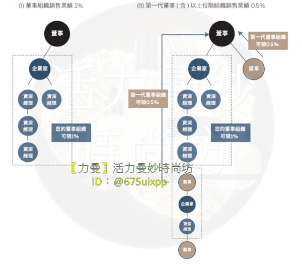 力曼董事領導紅利 力曼董事領導紅利