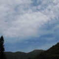 2012竹子湖的春天