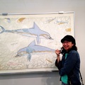 米諾斯博物館海豚與我