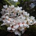 花蓮 － 美崙山森林公園