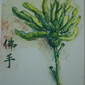 Gift to a Doctor of Chinese Medicine (China)
size about 20x30cm, collage and water color on canvas
已售 sold
