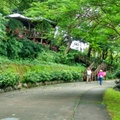 花蓮 － 美崙山森林公園