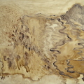 流淌，咖啡/畫布/凡尼斯，72x60x2cm，2014 Flowing, Coffee extract on Canvas (coated with varnish), 72x60x2cm, 2014