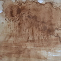 風雨欲來#3，咖啡畫，25.5x19.5cm，2013