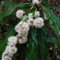 花蓮 － 美崙山森林公園