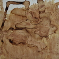 4．迴(1)，咖啡畫，24x31cm，2013