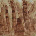 8．靈山，咖啡渣畫，13.5x19.5cm，2012