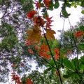 花蓮 － 美崙山森林公園