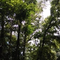 花蓮 － 美崙山森林公園
