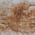 《啡．山水》，咖啡渣畫，39x27cm，2013