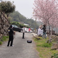 粉紅櫻花的婚紗照.