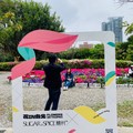 2023大安公園-繡球花
