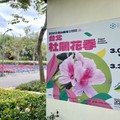 2023大安公園-繡球花