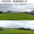 2019/06/15稻米生產百問