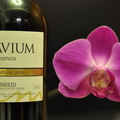 西班牙BIERZO產區,MENCIA品種的紅酒,
RP90分高評價酒,一瓶299元,所以一次買了8瓶.