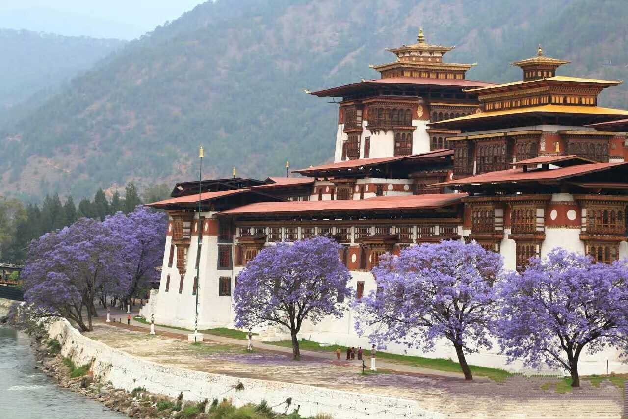 不丹.普納卡宗:普那卡宗（Punakha Dzong） - Red Square 123的部落格 - udn部落格