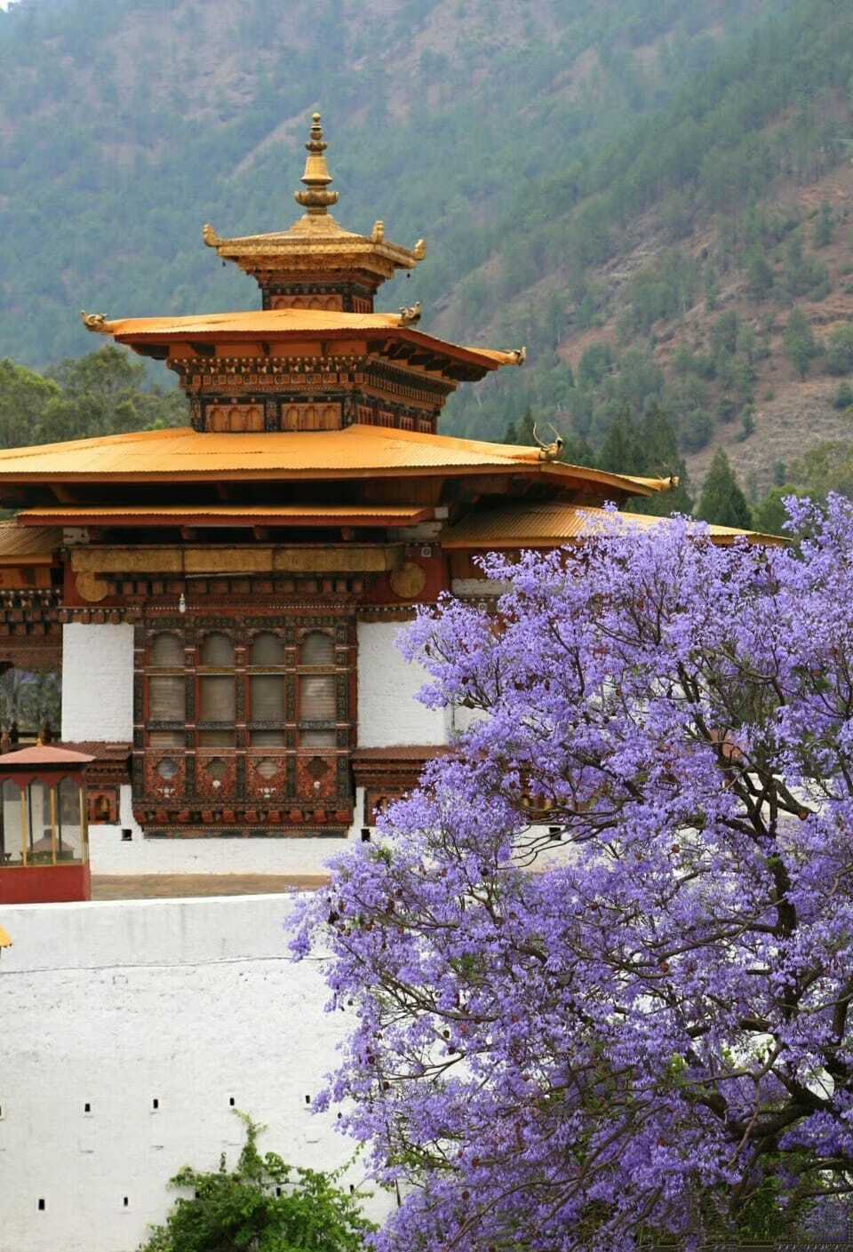 不丹.普納卡宗:普那卡宗（Punakha Dzong） - Red Square 123的部落格 - udn部落格