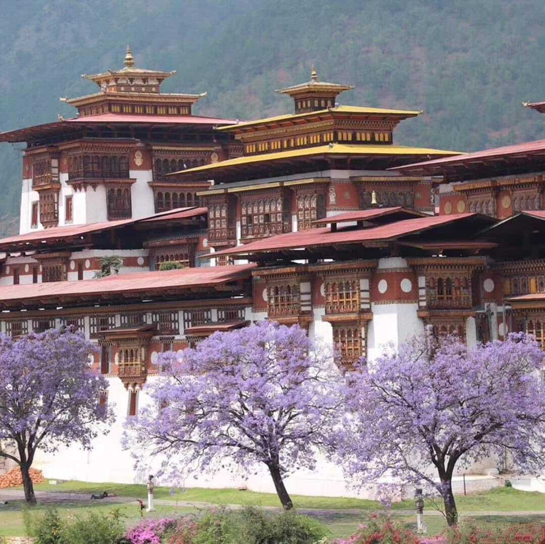 不丹.普納卡宗:普那卡宗（Punakha Dzong） - Red Square 123的部落格 - udn部落格