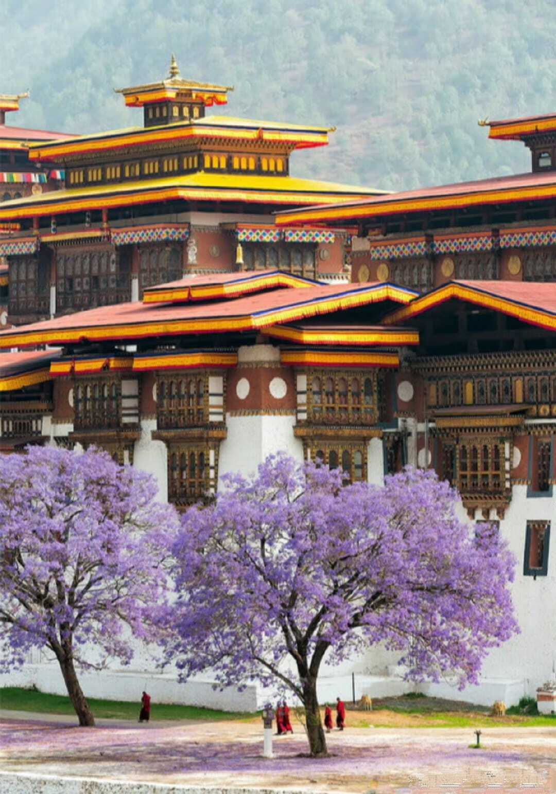 不丹.普納卡宗:普那卡宗（Punakha Dzong） - Red Square 123的部落格 - udn部落格