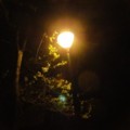淡水夜雨三月燈