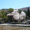 宗教信仰:寺廟vs神社
千年不變的信仰與輝煌