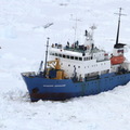 雪龍號 南極搶救行動 - 2