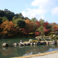 日本天龍寺的楓紅
