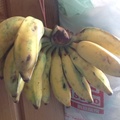 芭蕉⋯許多人都愛的水果
