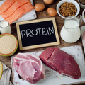 優勢蛋白質的獲得來源