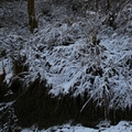 下雪的北橫