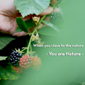 We are all part of Nature. Destroy it, you destroy yourself