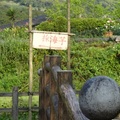 2013竹子湖海芋季 - 46