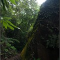 20140510隨拍(長+) 燕溪古道、仙座台山