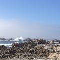Monterey Ocean Side 1