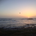 Monterey Ocean Side 2