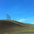 加州風力發電1