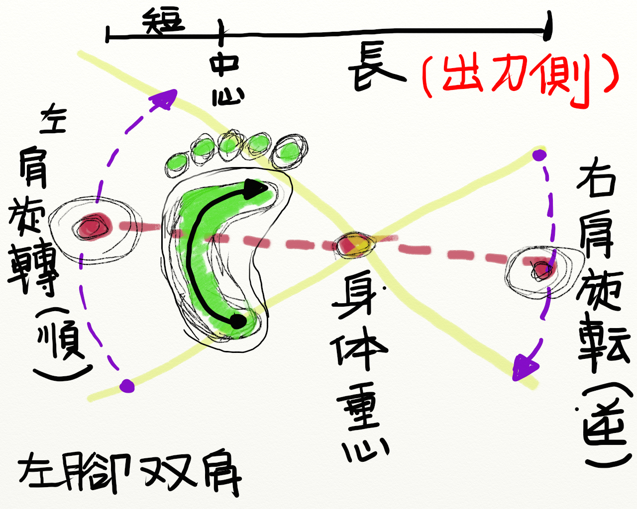 左腳與雙肩關係圖