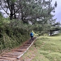 南投。信義～塔塔加 玉山國家公園鹿林山 麟趾山