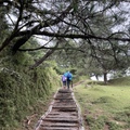 南投。信義～塔塔加 玉山國家公園鹿林山 麟趾山