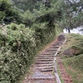 南投。信義～塔塔加 玉山國家公園鹿林山 麟趾山