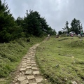 南投。信義～塔塔加 玉山國家公園鹿林山 麟趾山