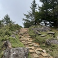 南投。信義～塔塔加 玉山國家公園鹿林山 麟趾山