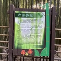 苗栗山城趴趴走～泰安烏嘎彥竹林秘境+洗水坑豆腐街